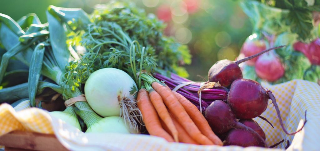 AgroThrive, The Science of Organic Growth