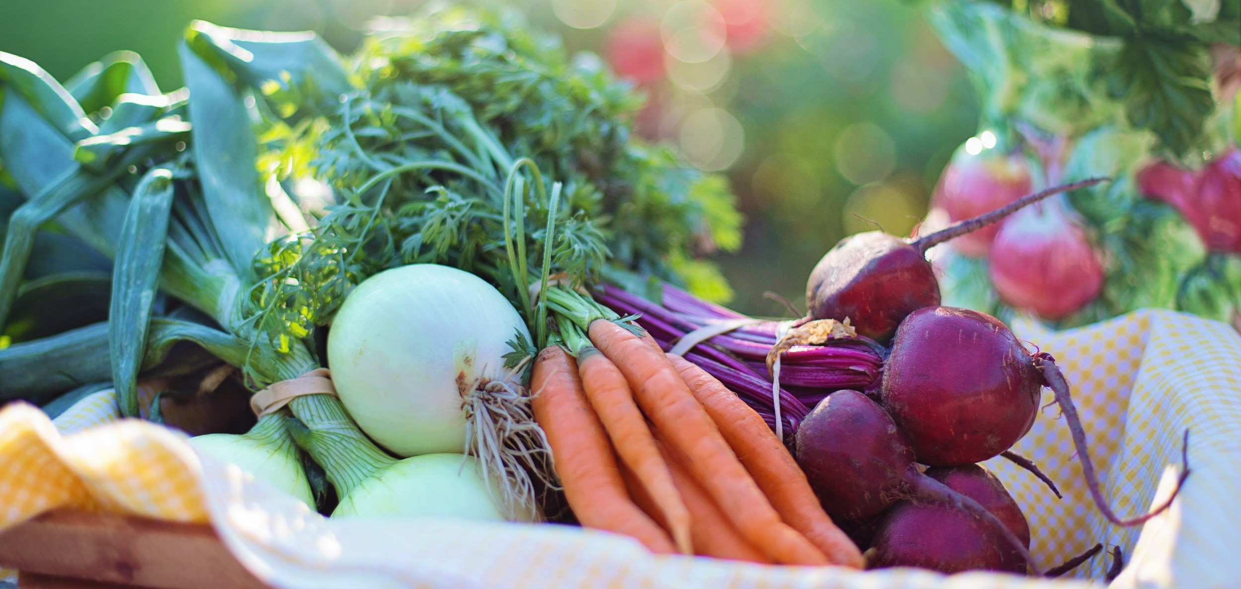 home garden basket
