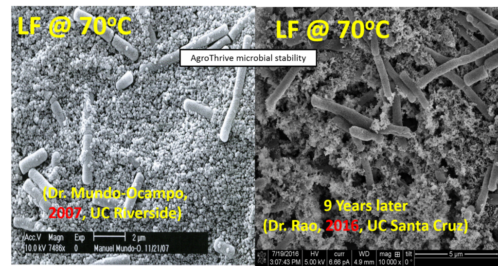 AgroThrive stability